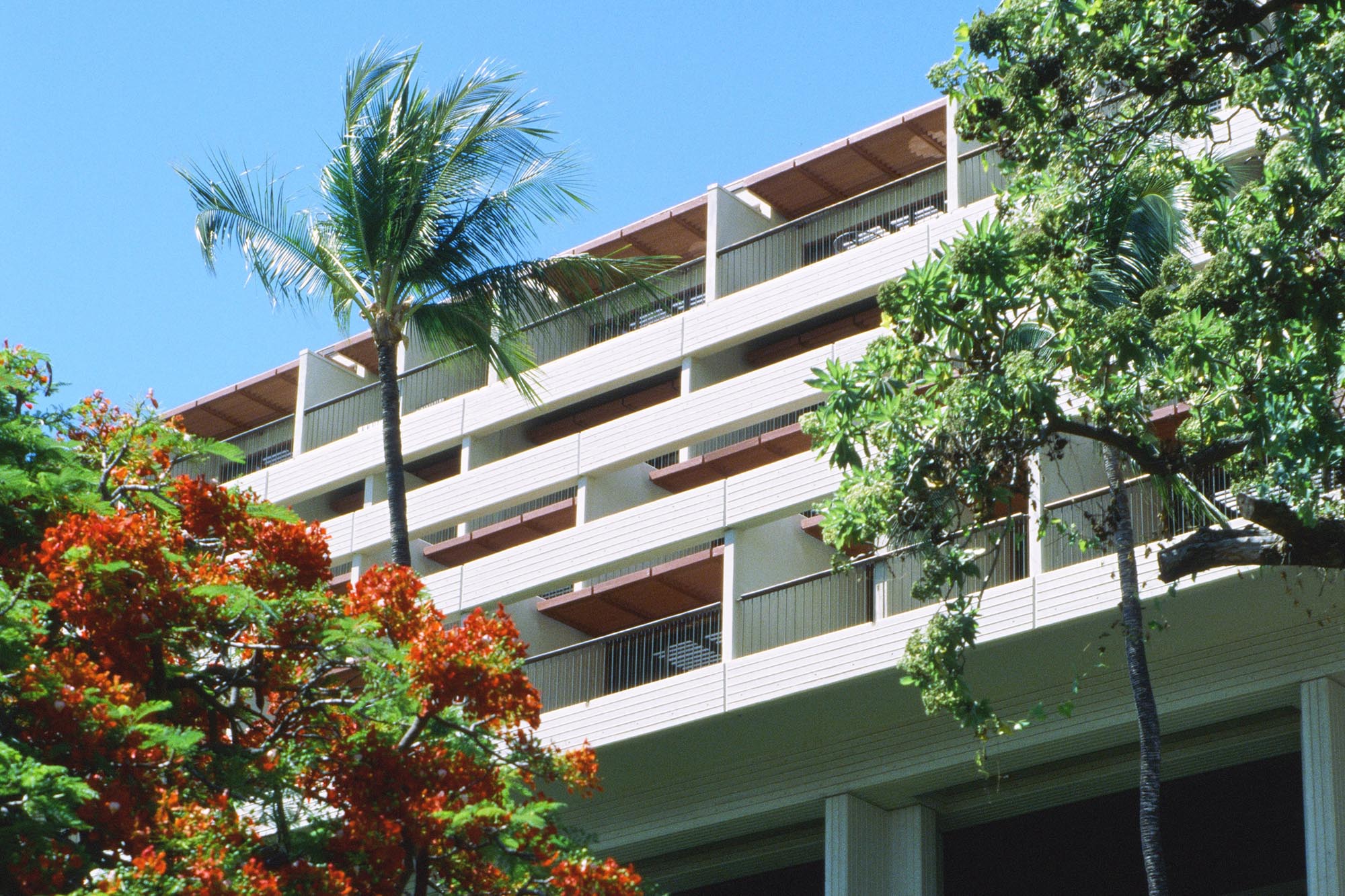 Tropical Modernism